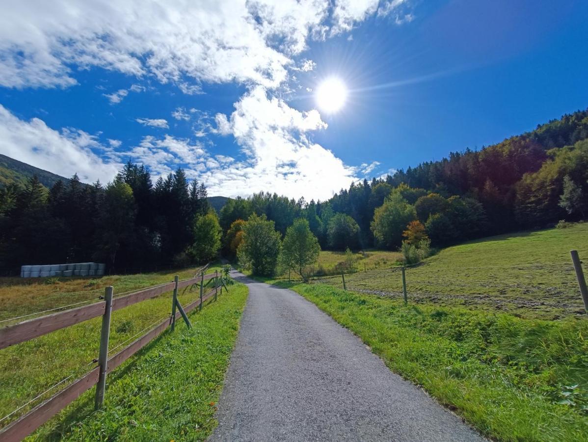 Jizdarna Malenovice Lägenhet Malenovice  Exteriör bild