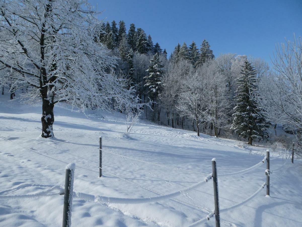 Jizdarna Malenovice Lägenhet Malenovice  Exteriör bild
